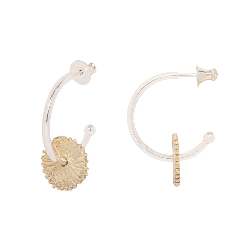 PUNTIA HOOPS