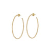 TWISTED HOOPS