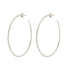 TWISTED HOOPS